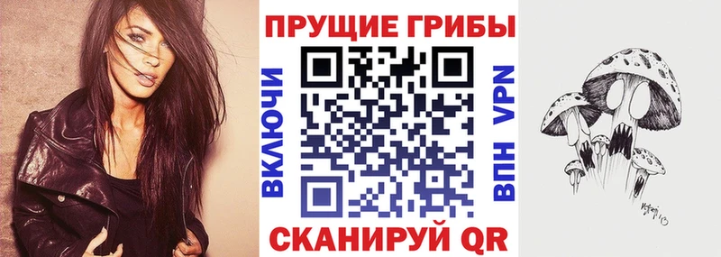 Галлюциногенные грибы Psilocybine cubensis  Терек 